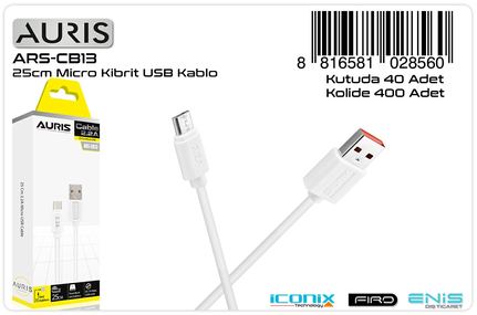 Auris CB13 Micro Kablo 25cm